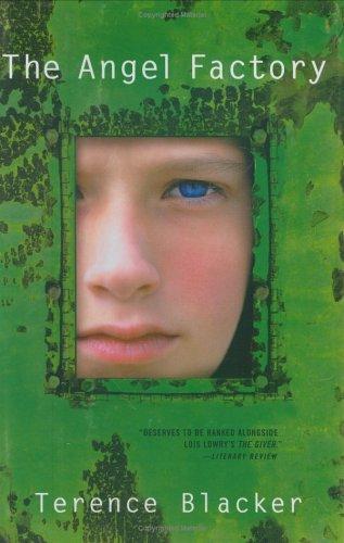 Book cover for Angel Factory, The