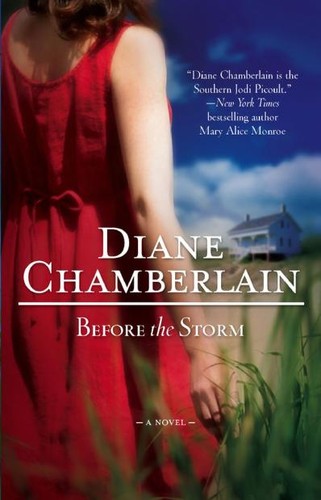 Book cover for Before the Storm
