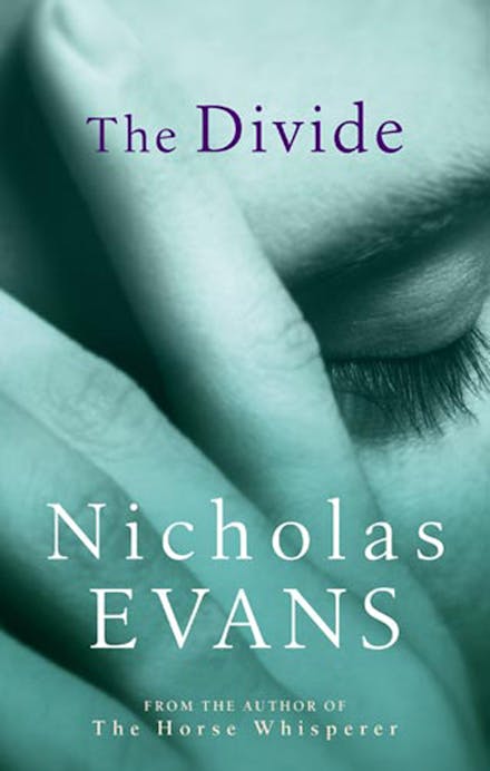 Book cover for Divide, The