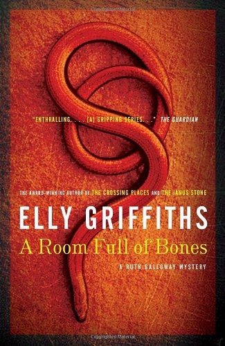 Book cover for Room Full of Bones, A